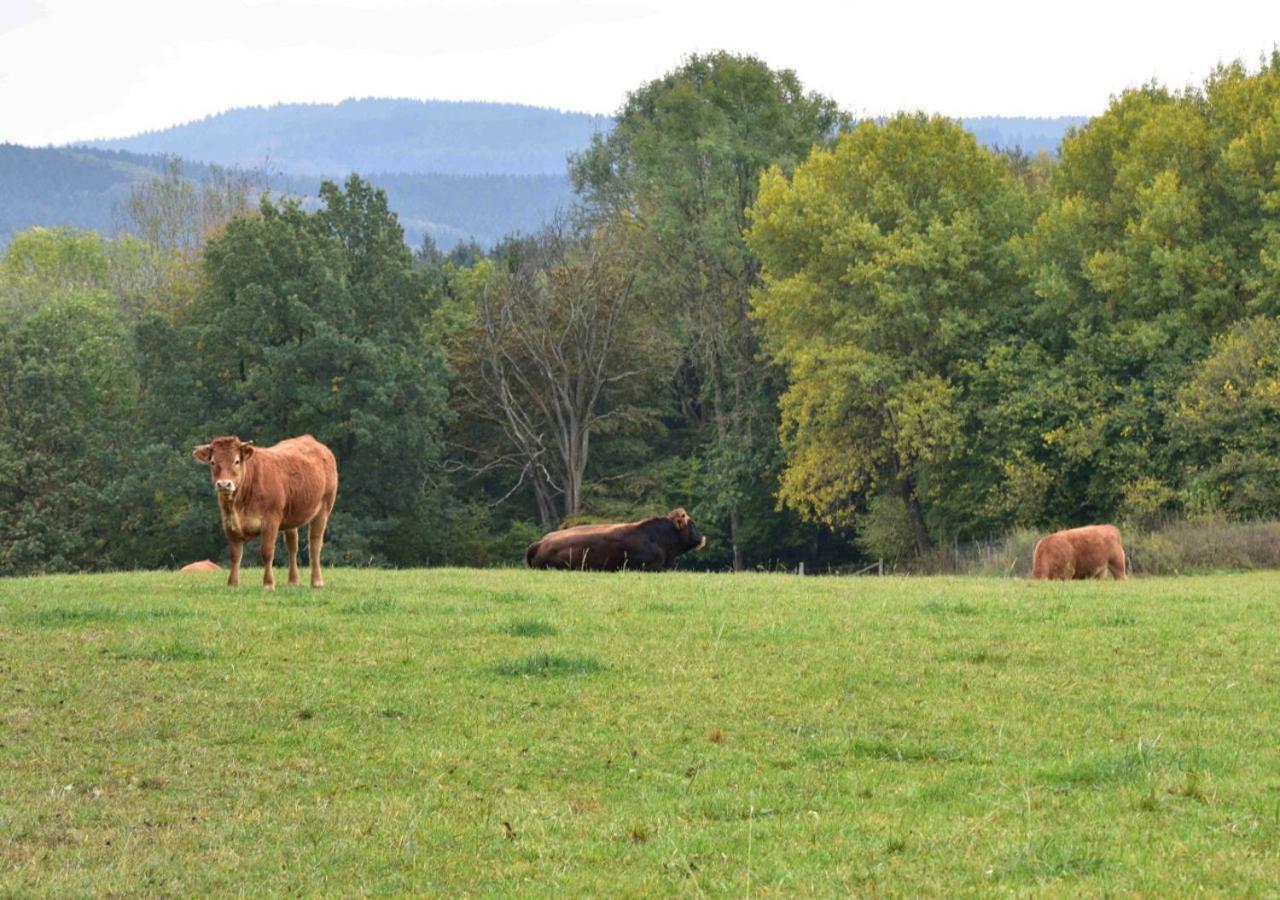 Ferienhaus Vulkaneifel Kopp Luaran gambar